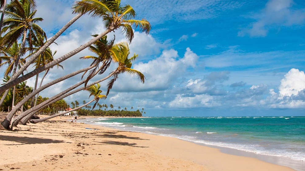 Turquoise water and palm-lined beach in Punta Cana